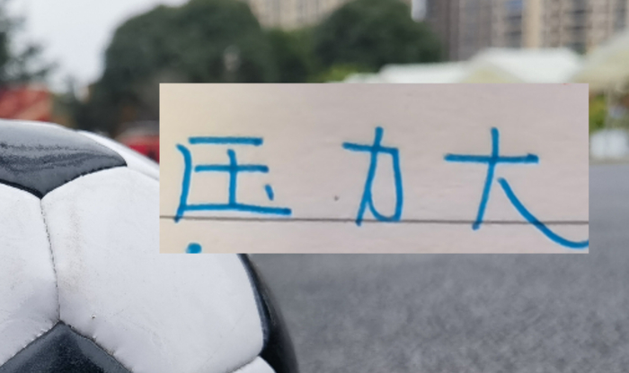 2026 世界杯预选赛-申花今年压力大！只字没提成绩目标 核心后卫蒋圣龙也没有消息|上海申花|中后卫|蒋光太|上海申花足球俱乐部|杨帅_新浪体育_新浪新闻